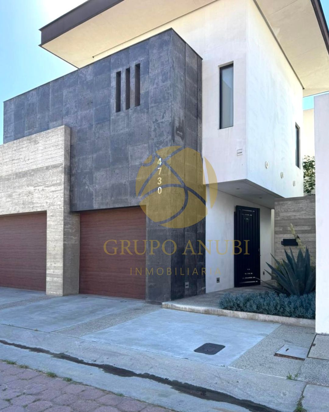 WhatsApp Image 2026-03-23 at 4.46.50 PM (1)